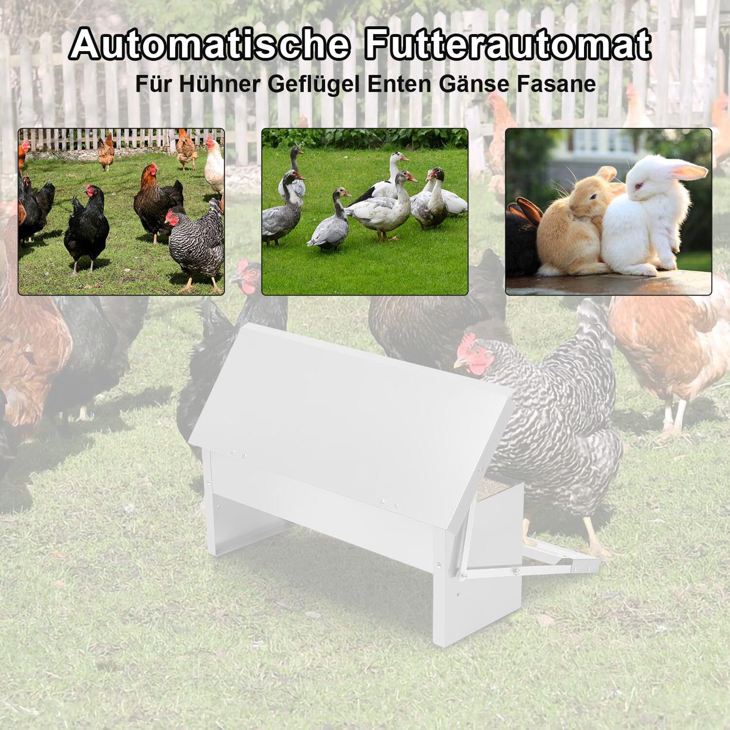 Mangiatoia automatica con pedale automatico e coperta impermeabile, mangime per pollame, 2 mangiatoie automatiche per pollame, 5 kg, zincate