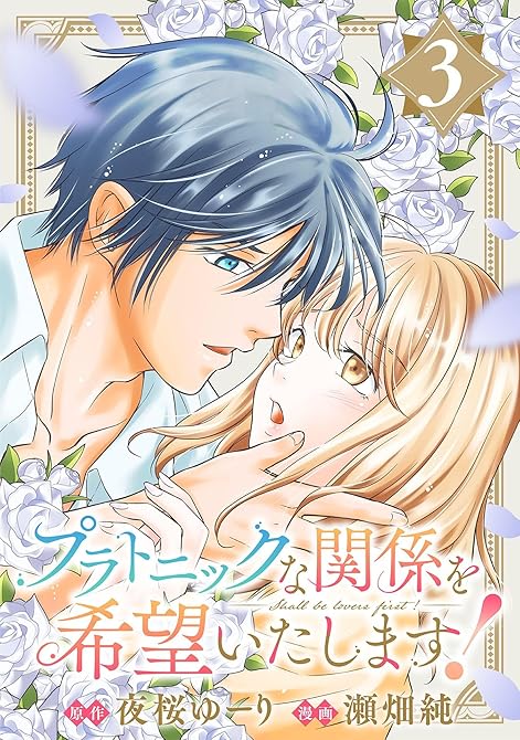 プラトニックな関係を希望いたします！(3)の表紙イラスト