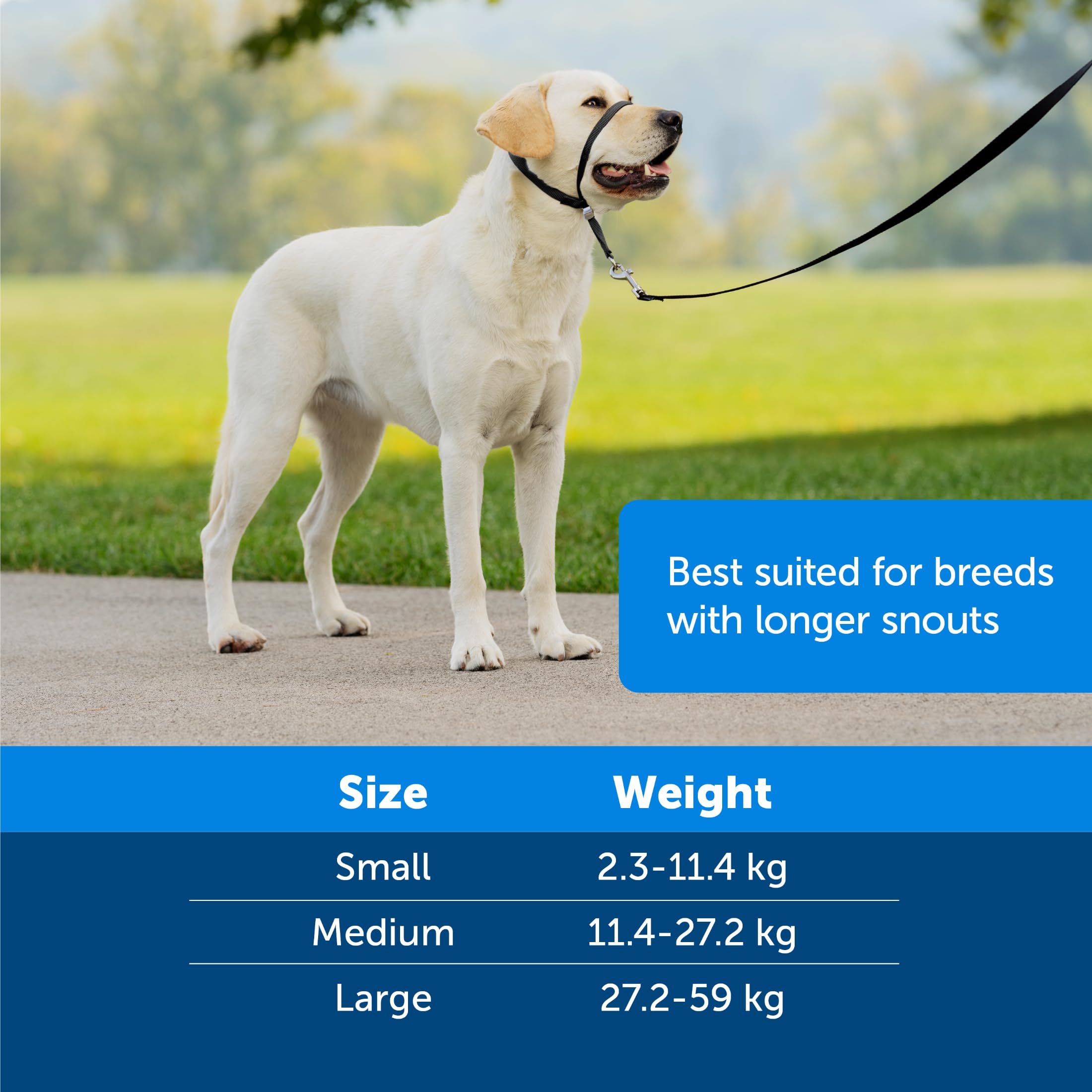 PetSafe - Collare a cavezza Easy Walk per cani di taglia grande (L), comoda, anti-trazione, con guinzaglio in nylon (incluso) - Nero