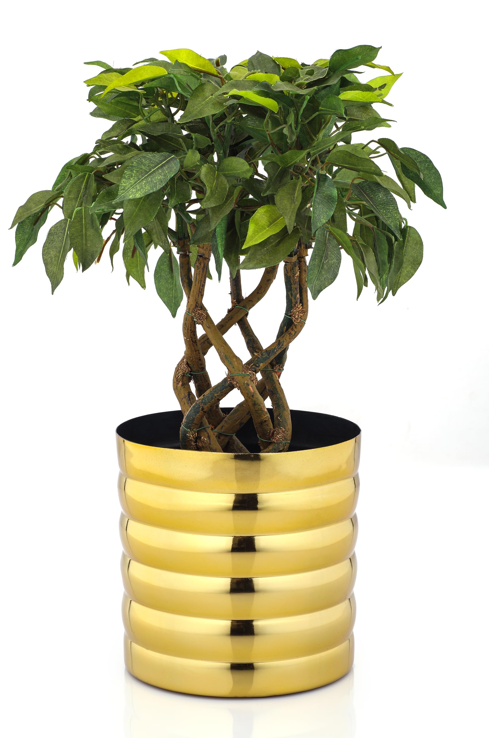 See full amazon price history chart for Rust & Shine Iron Forge Plant Pot - Golden Finish | Aesthetic & Modern Planter Pot for Botanicals & Flowers | Durable & Sleek Pot for Home, Office, Living Room and Drawing Room Décor Rust & Shine Iron Forge Plant Pot - Golden Finish | Aesthetic & Modern Planter Pot for Botanicals & Flowers | Durable & Sleek Pot for Home, Office, Living Room and Drawing Room Décor (B0D83MM53B) Amazon Price History, Amazon Price Tracker