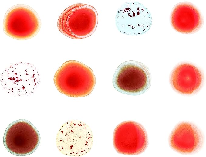 Scratch My Back I Ll Scratch Yours 12 Inch Analog Gabriel Peter