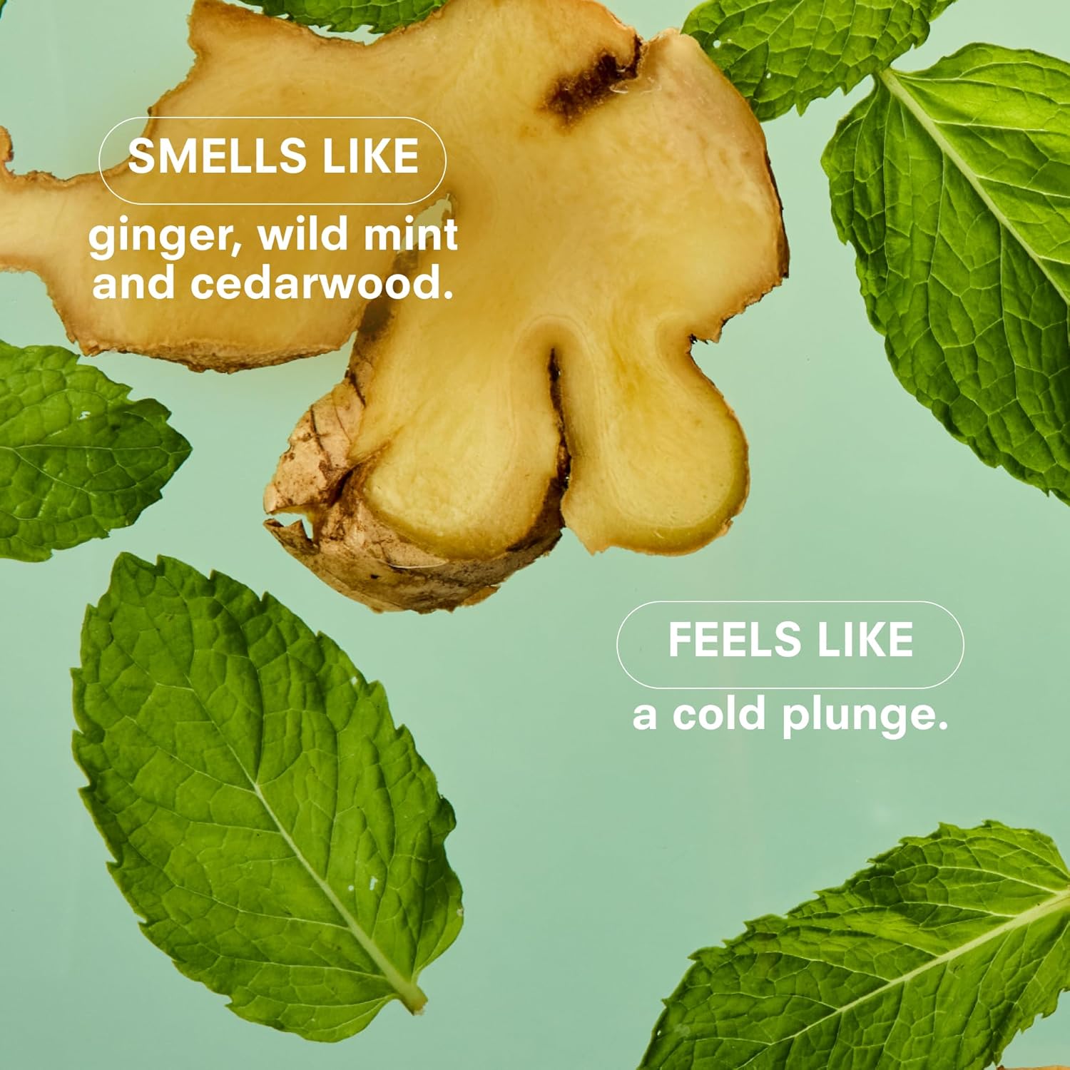 Boy Smells Mint Candle - 8.5 oz Fancy Candle with Ginger, Wild Mint, and Cedarwood- Up to 50-Hour Burn - Cotton Wick - Image 5