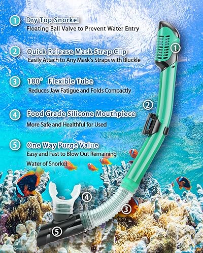 Miniatura 4 de PIYAZI Conjunto de equipo de esnórquel para adultos, juego de esnórquel seco para adultos, lente de vidrio templado panorámica antifugas y antivaho,