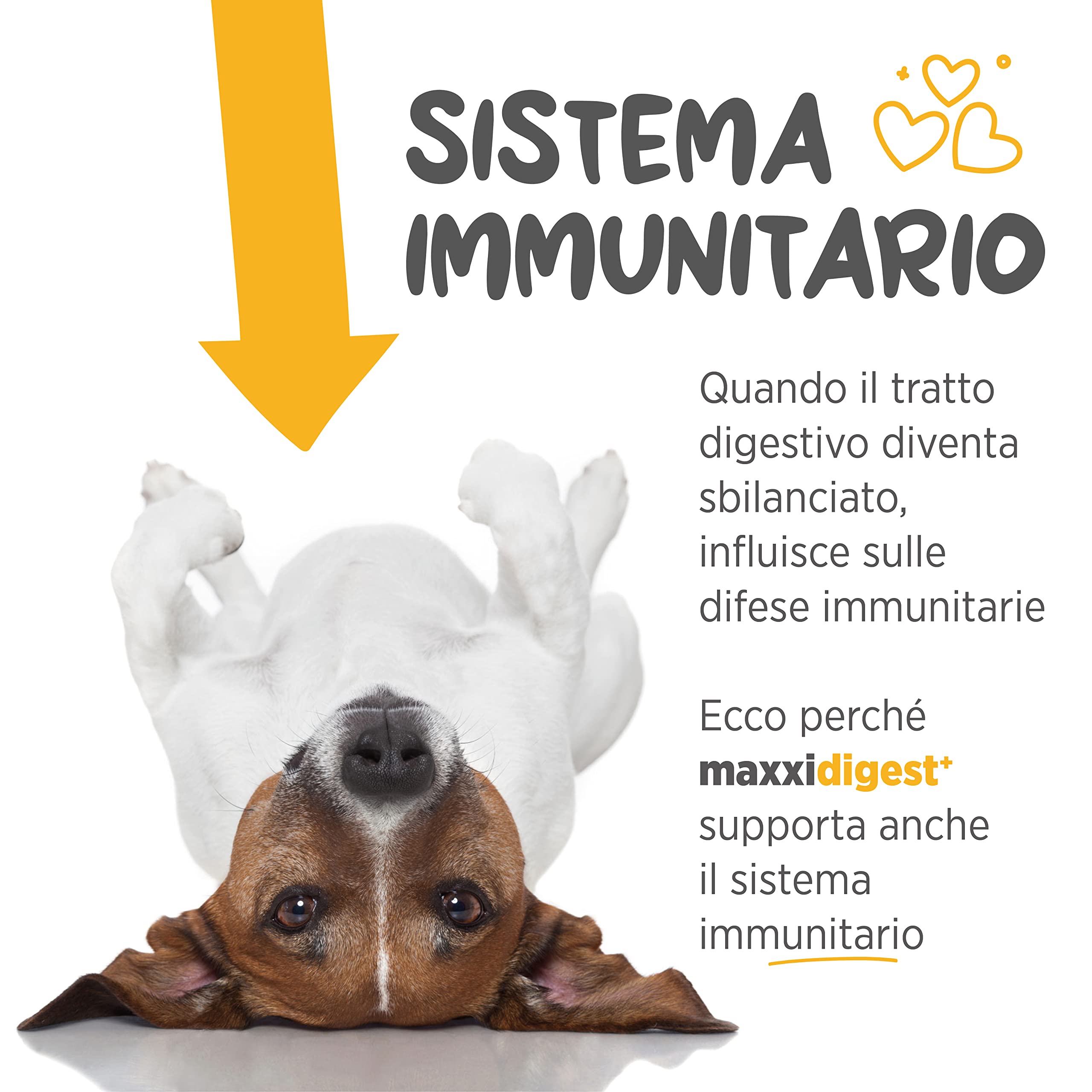 maxxipaws maxxidigest+ Prebiotici e Probiotici per Cani - Integratore per l'Apparato Digerente e il Sistema Immunitario, 200g