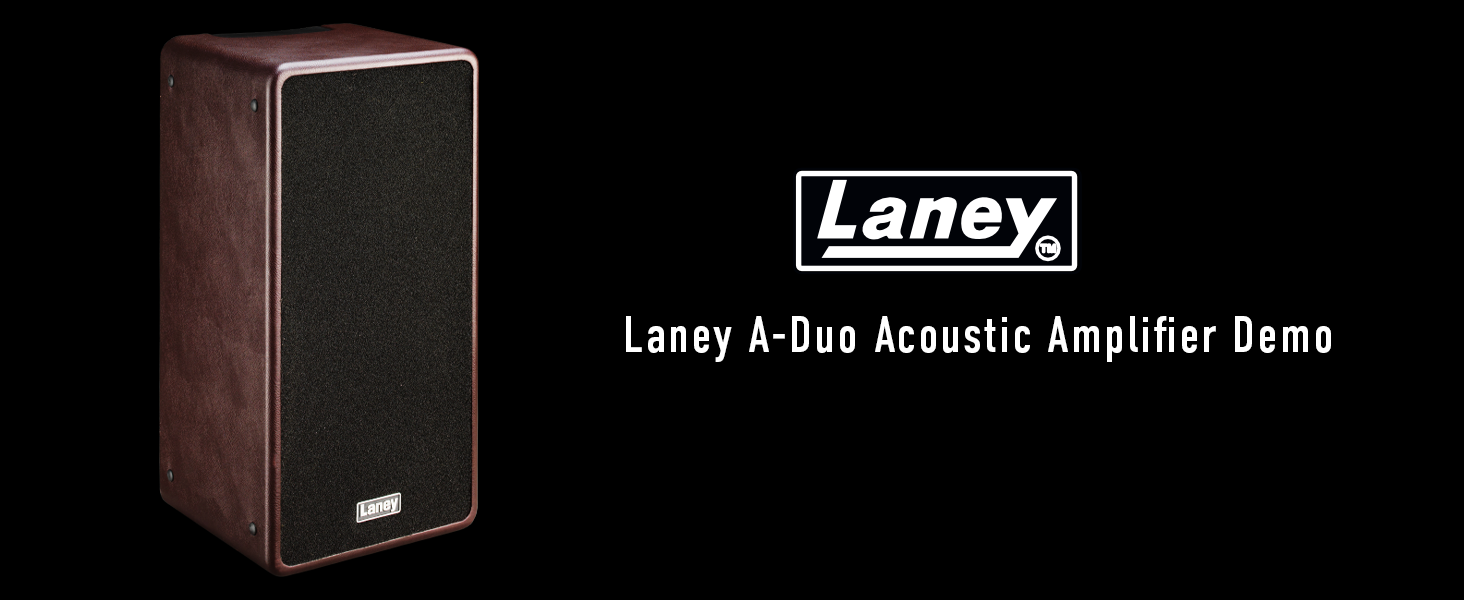Amazon.com: Laney A Series A-DUO Acoustic Instrument Combo 120W 2