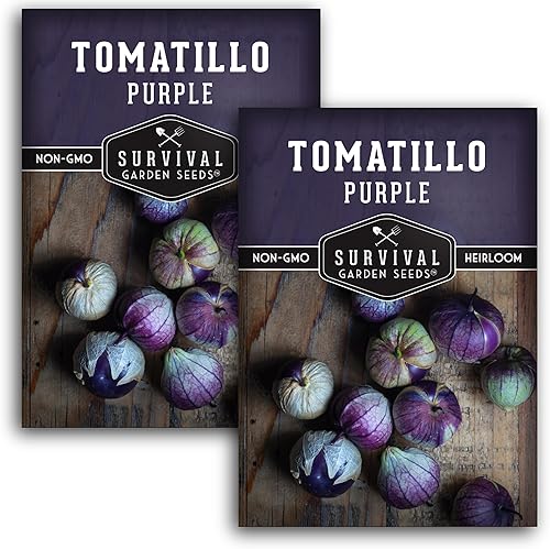 Miniatura 10 de Semilla de tomatillo morado para plantar, 1 paquete con instrucciones para plantar y cultivar tomate de cáscara mexicana rara en el huerto de tu
