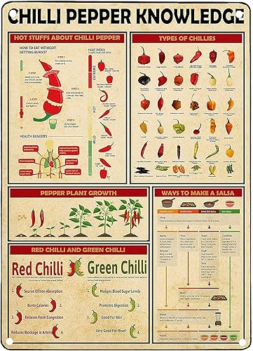 Miniatura 3 de Win a Limited Edition Letrero de metal Red Hot Chili Peppers Cafe Bar Pub Cerveza Decoración de Pared Arte Metal Cartel Retro 8x12 pulgadas 87