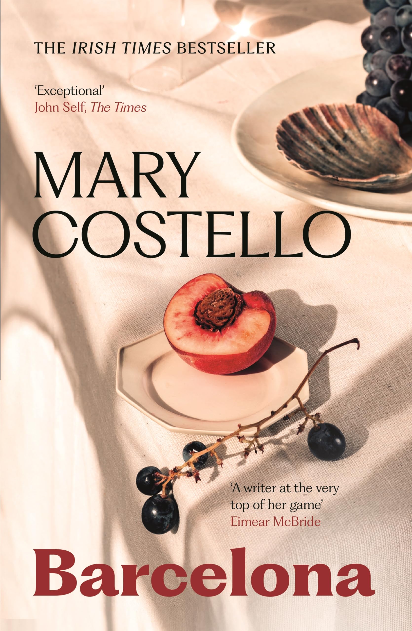 Mary Costello Barcelona Short Story Collection Paperback Book