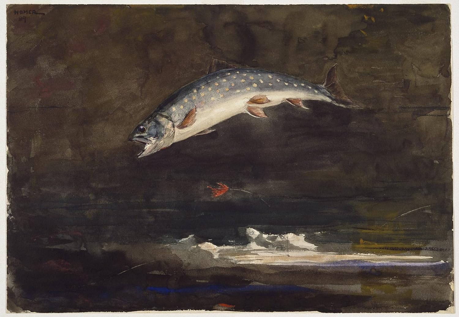 Searching for Home Waters: A Brook Trout Pilgrimage