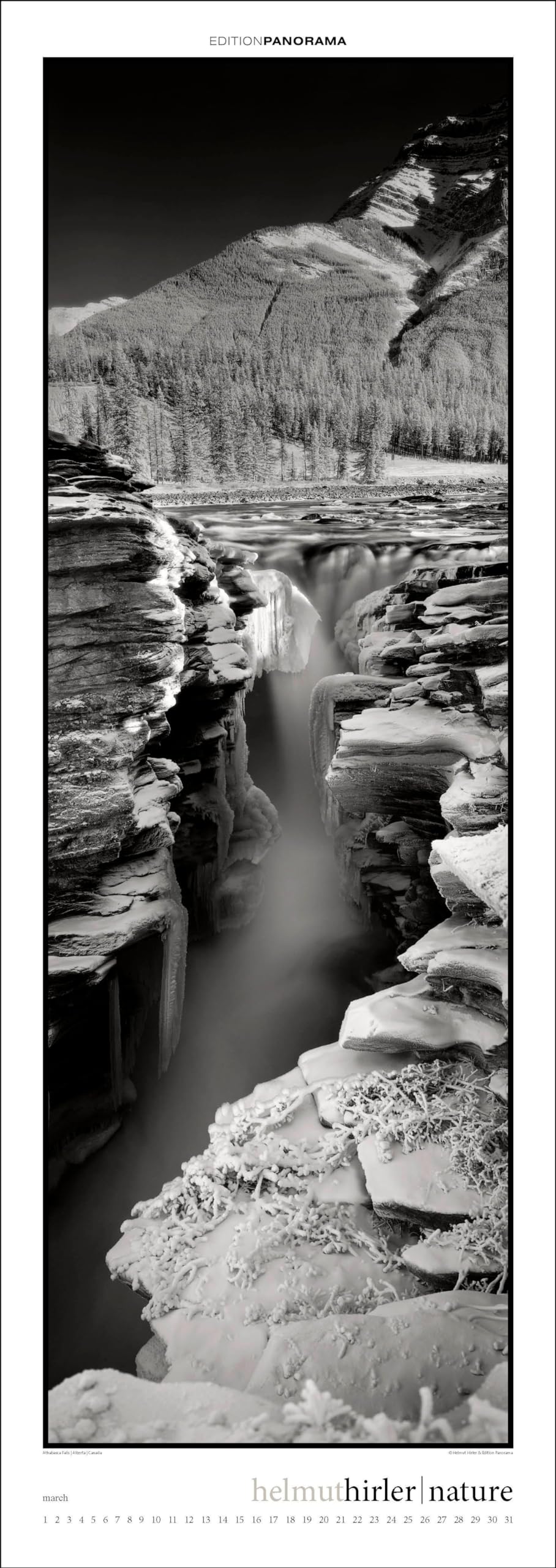Nature: Immerwährender Vertikal-Kalender, 40 x 110 cm