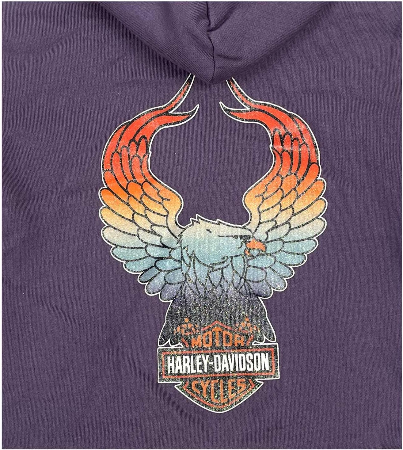 Harley-Davidson Little Girls' B&S Sherpa Lined Toddler Fleece Zip Hoodie