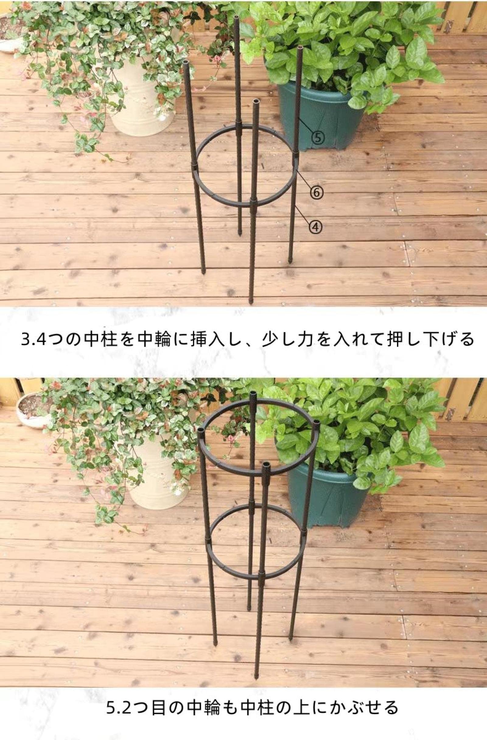 Amazon.co.jp: 鉢植え用トレリス 園芸用品 バラ 薔薇 クレマチス