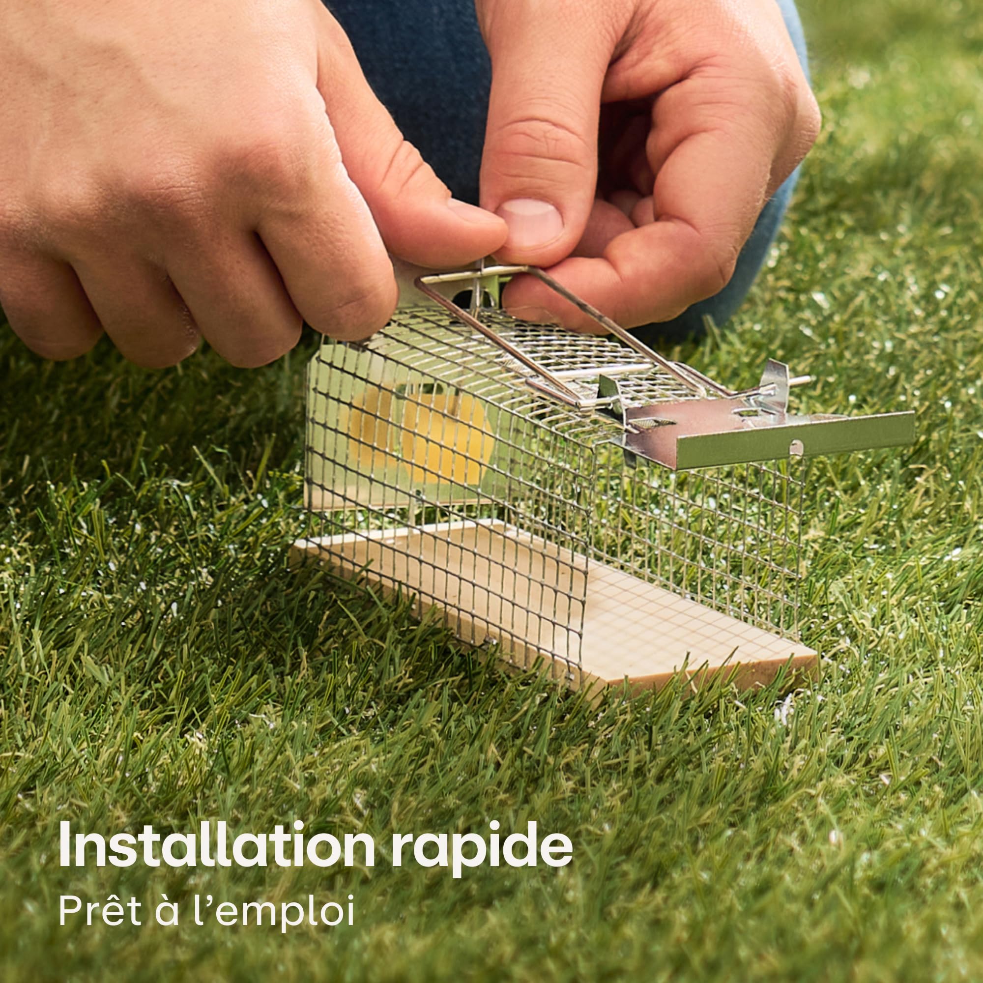 Praknu Piège à Souris Vivant - 4 Pièces - Respectueux des Animaux - Réutilisable - Fabriqué à Partir de Bois FSC® Écologique - Prêt à l'emplo