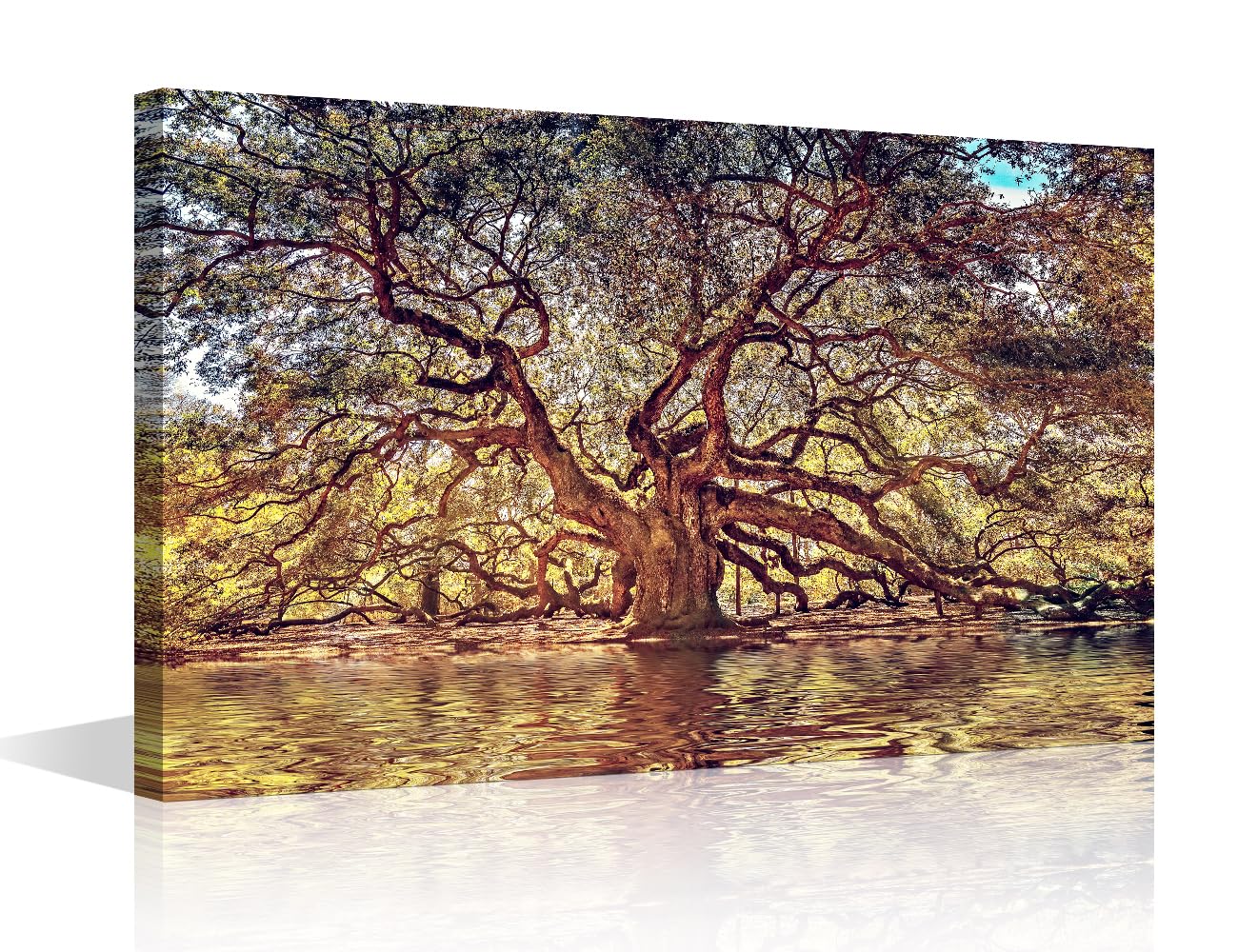 Black and White Wall Art for Bedroom Old Oak Canvas Painting Big Tree Rustic Large Wall Art for Living Room Natural Landscape Contemporary Home Decor 1 Panel Stretched on Wooden Frame, 36x24in โ image 1