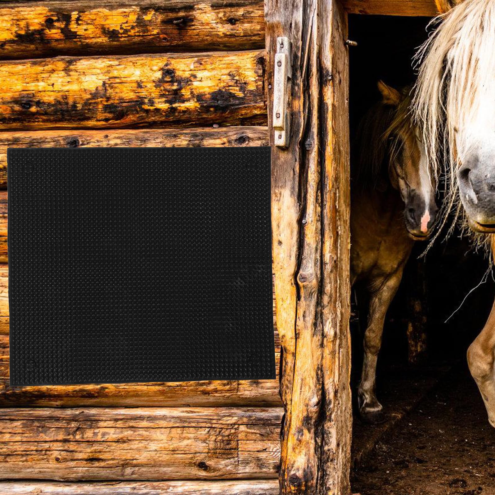 Spazzola da Sfregamento per Bovini in Silicone Nero, Robusta | Installazione Semplice, Accessorio per Stalla, per Allevamento, Uso su Cavalli e Bestiame