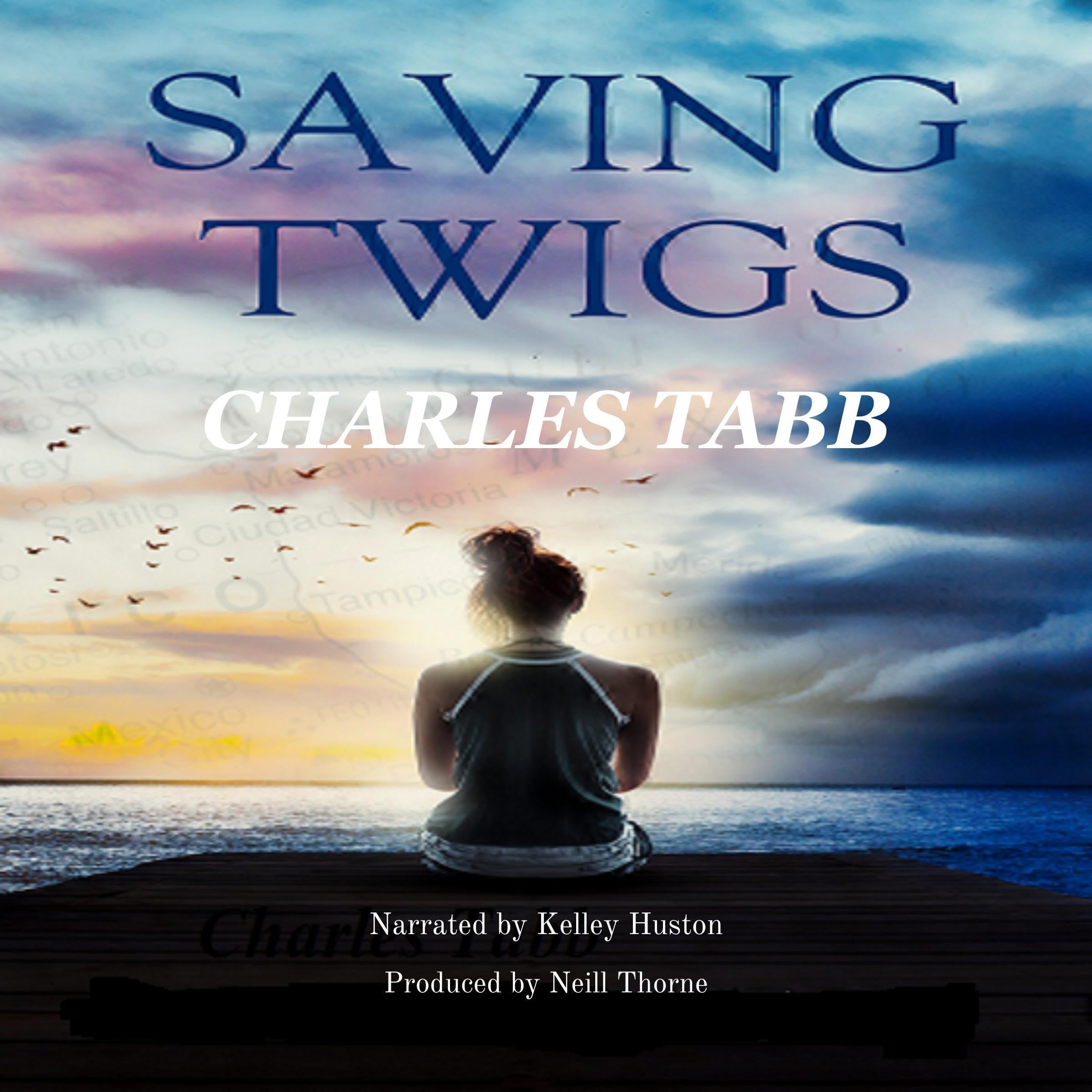 Cover art for Saving Twigs