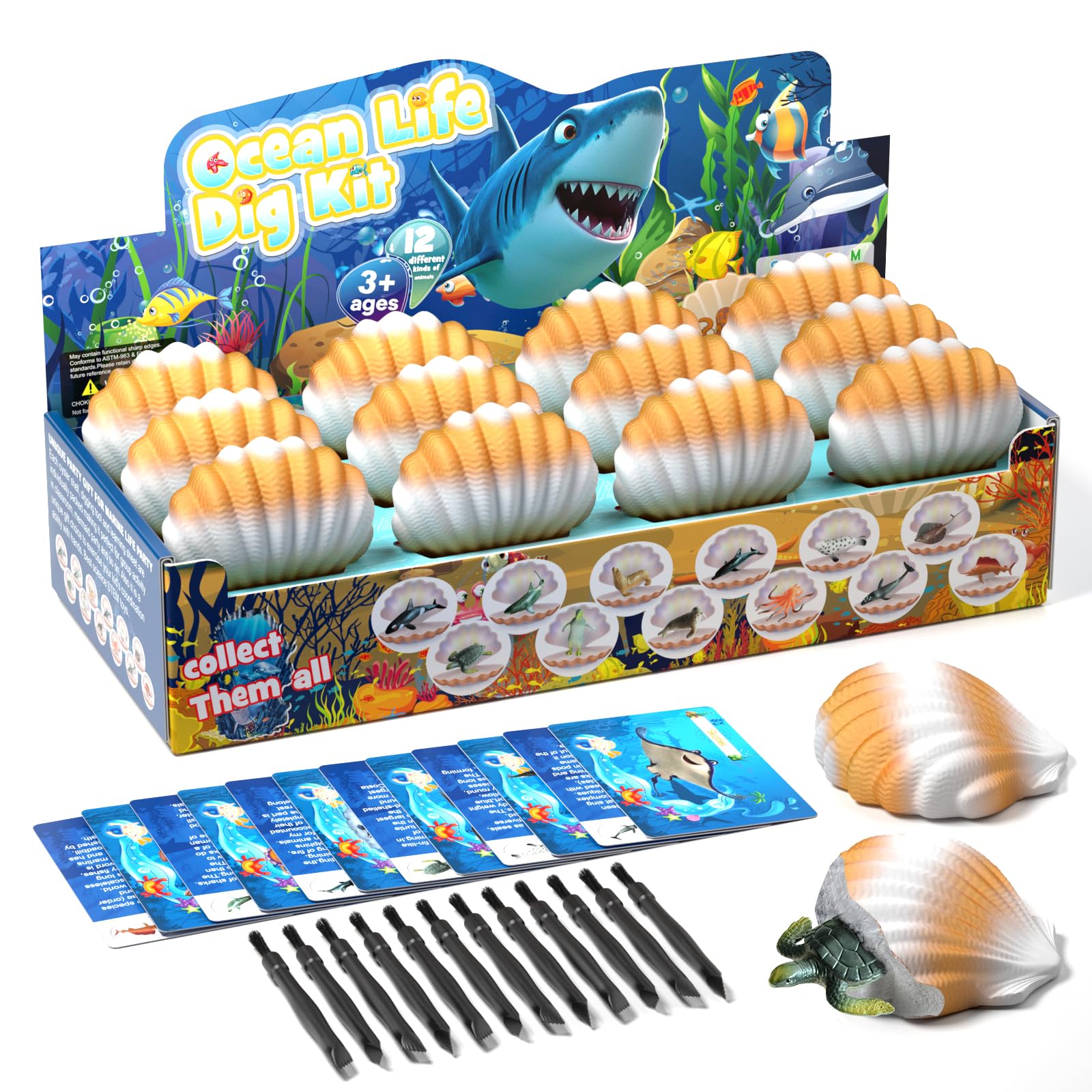 EARTH'SCODE Ocean Animals Dig Kit, Seashell Excavation Dig Bricks, Science Educational Gift for Kids