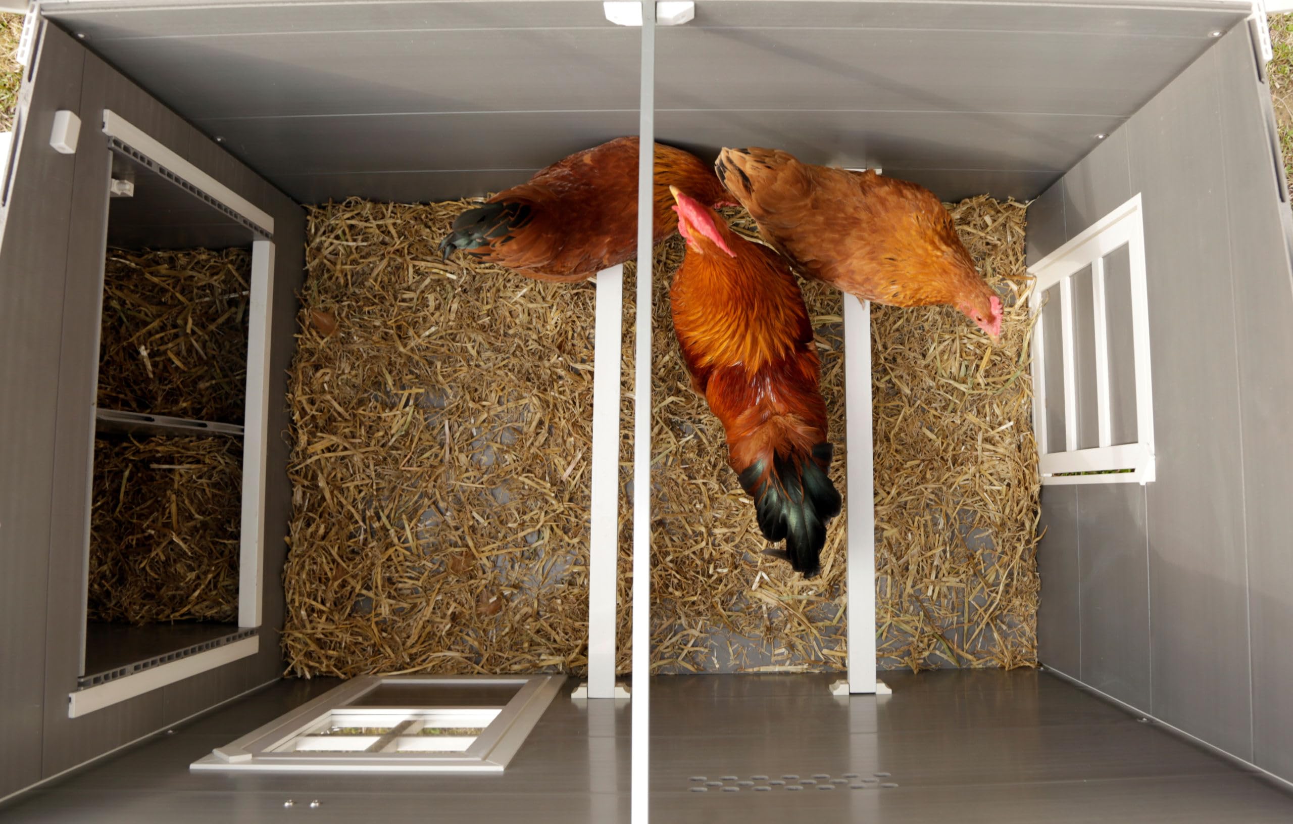 Kerbl Hobbyfarming Eco Establo de plástico para gallinas, conejera para Pollos, 137x73x83cm, Resistente a la Intemperie, Material sostenible, fácil de Limpiar, Duradera