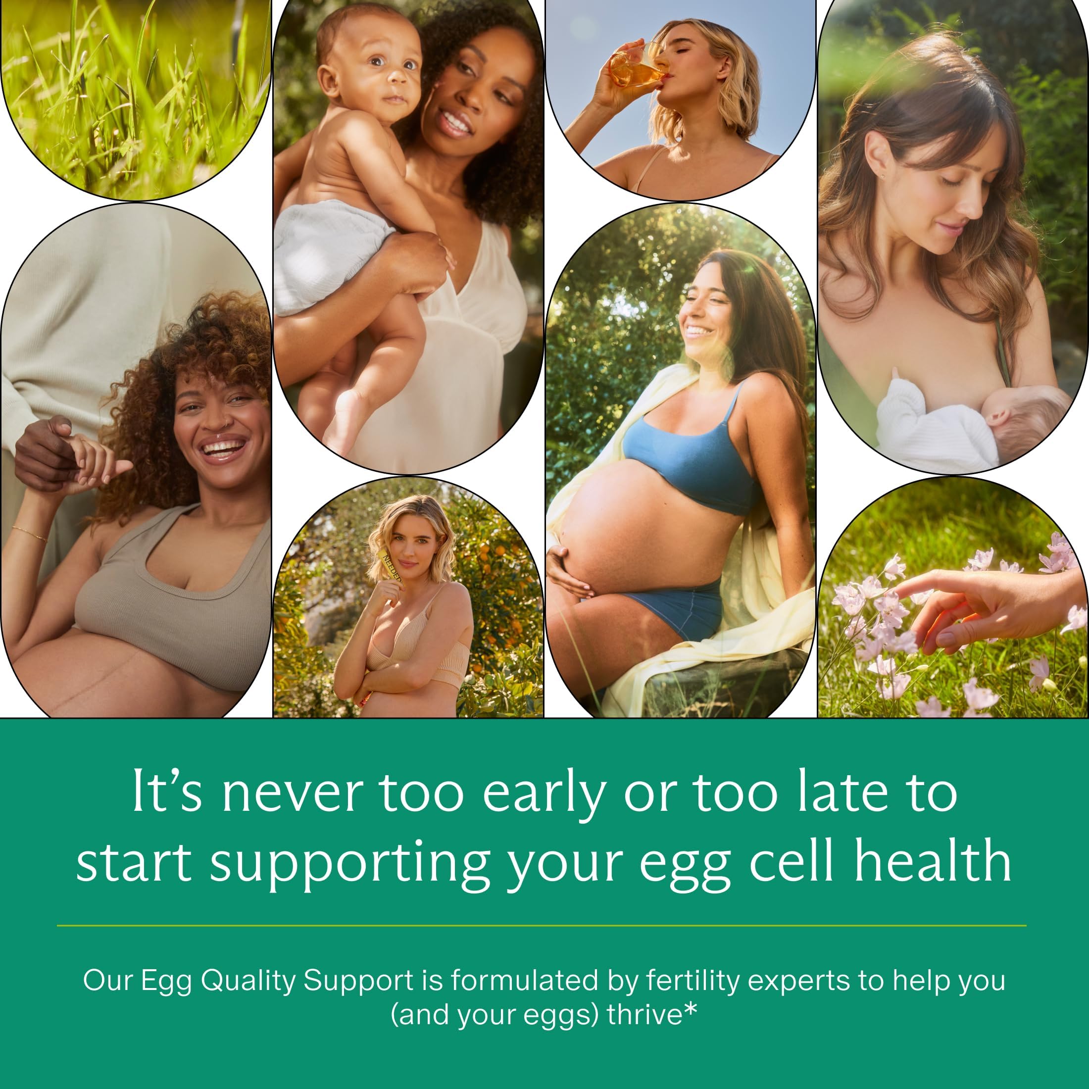 Needed. Egg Quality Support, 60 Capsules, 30 Day Supply — Amazon image 3