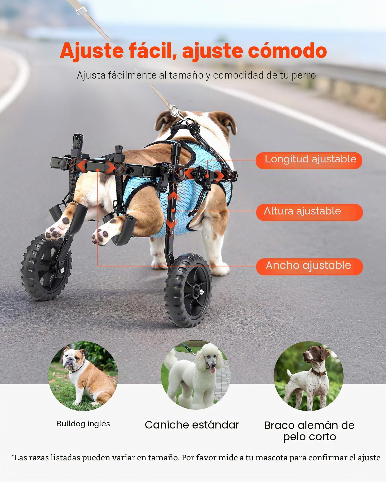 VEVOR Silla de Ruedas para Perros para Patas traseras, Silla de Ruedas Ligera de 2 Ruedas para Mascotas, Altura, Ancho y Longitud Ajustable, Carrito de Perro con Ruedas Que absorben los Golpes, para