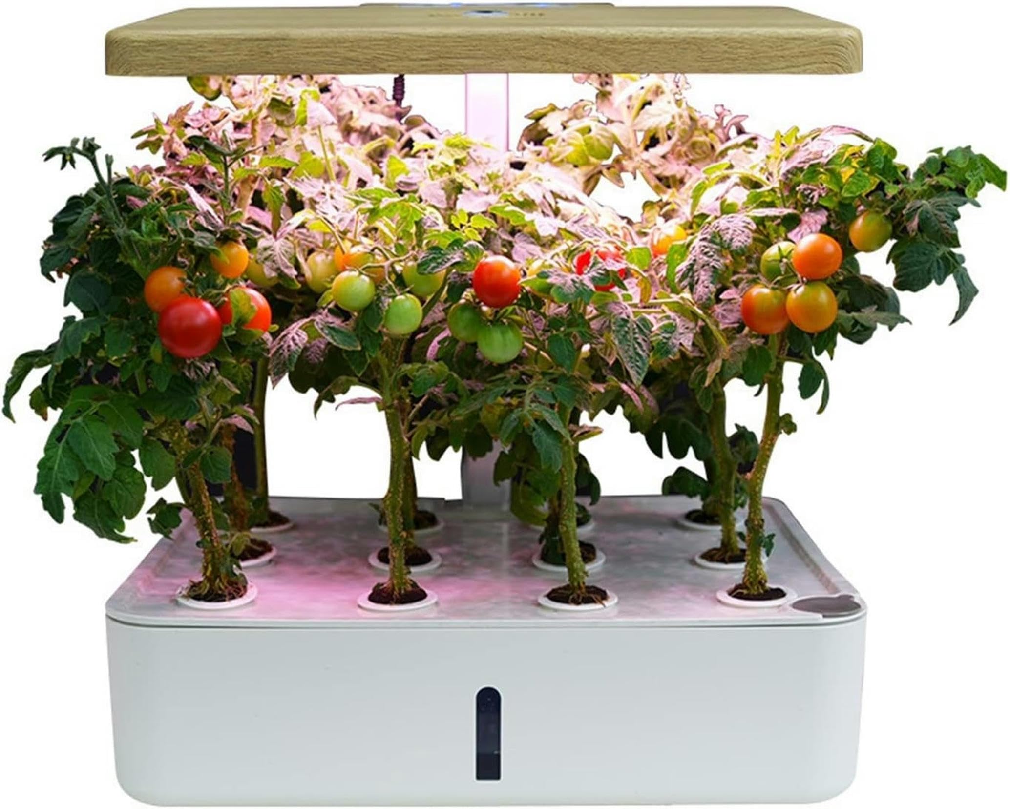 Système de culture hydroponique automatique pour éviter les plantes sèches en intérieur