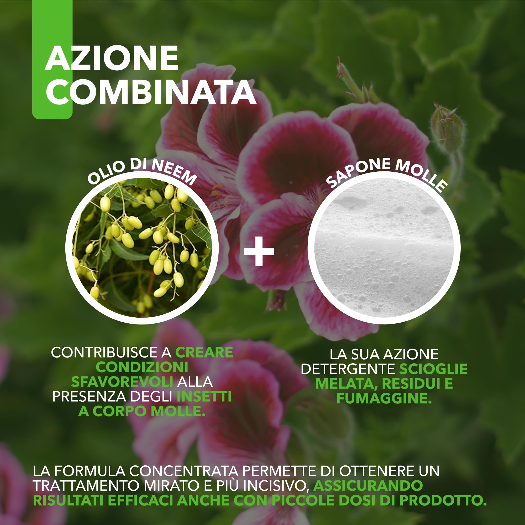 Combi Concentrato BioNee – Trattamento Naturale per Piante con Olio di Neem + Sapone Molle | Contra Afidi, Cocciniglie, Acari, Parassiti | Idrosolubile da Diluire (5 litri)