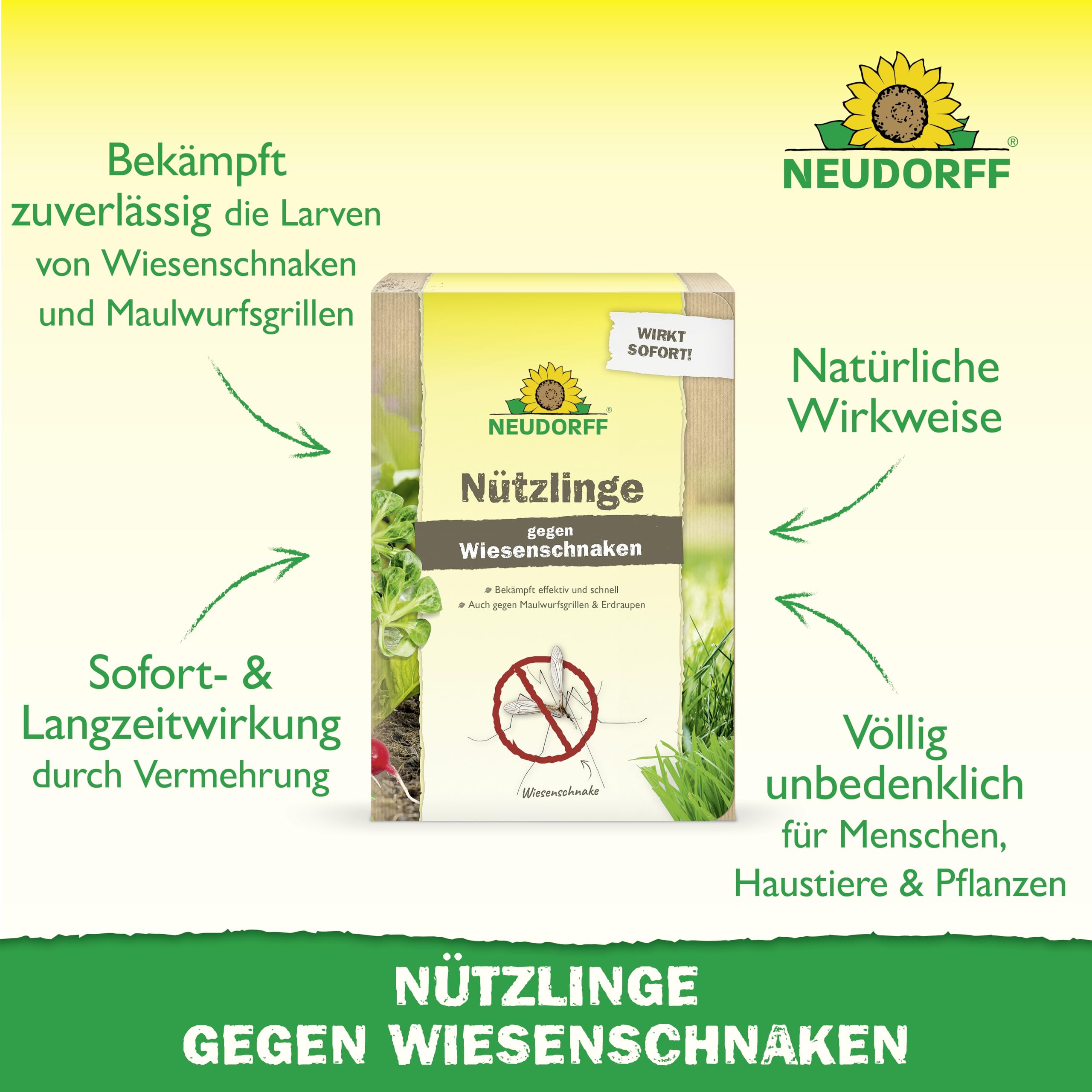 Neudorff Nützlinge gegen Wiesenschnaken – 50 Mio. SC-Nematoden zur natürlichen und schnellen Bekämpfung von Wiesenschnaken, Maulwurfsgrillen und Erdraupen – für 100 m²