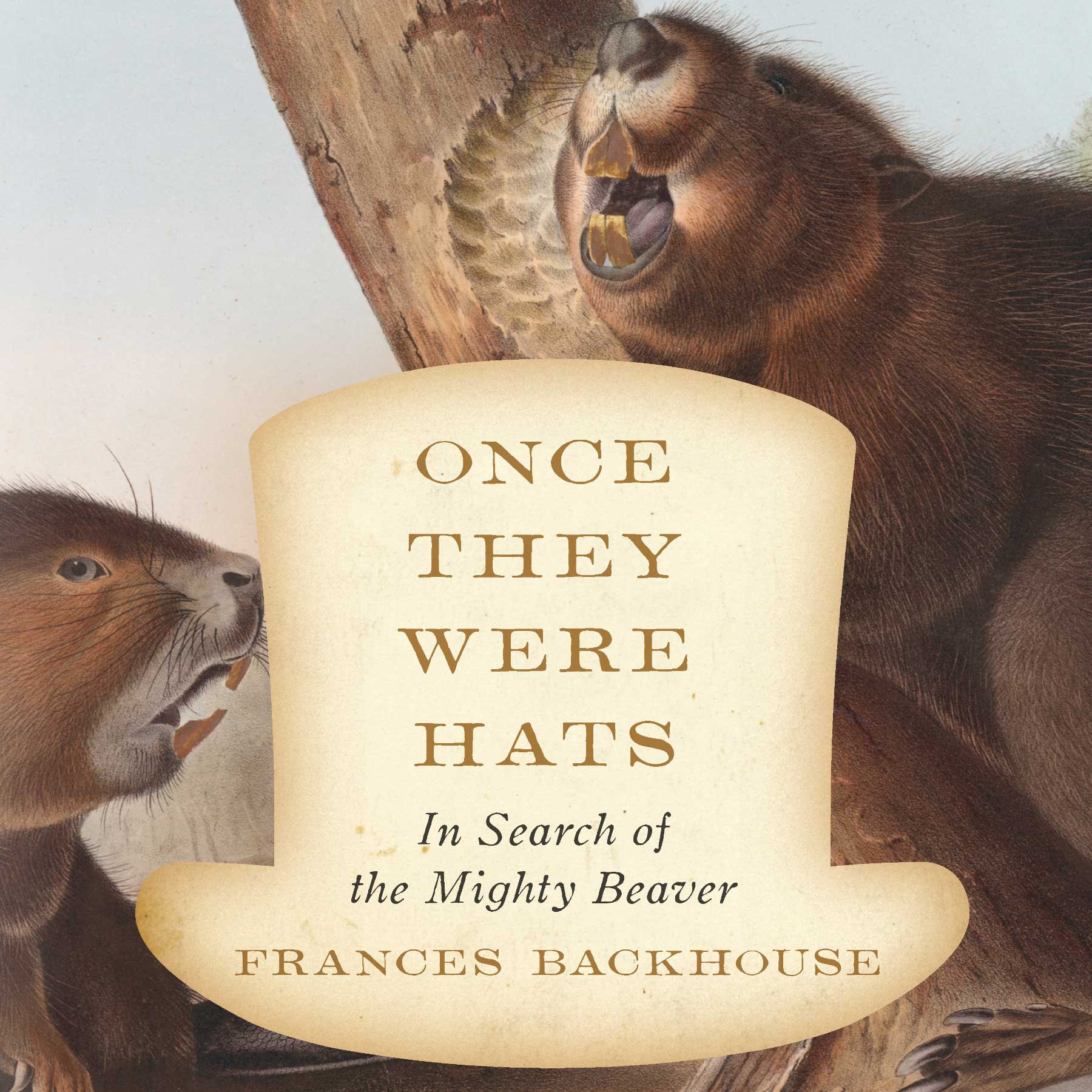 Cover art for Once They Were Hats
