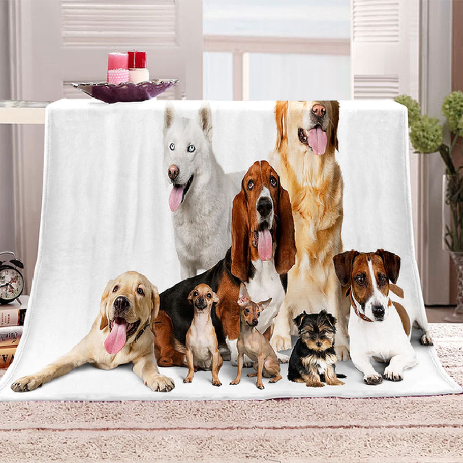 Coperta Gatto Nero 3D Per Divano - Sherpa Morbida Con Stampa Animale - 150x200 Cm - Foto 14