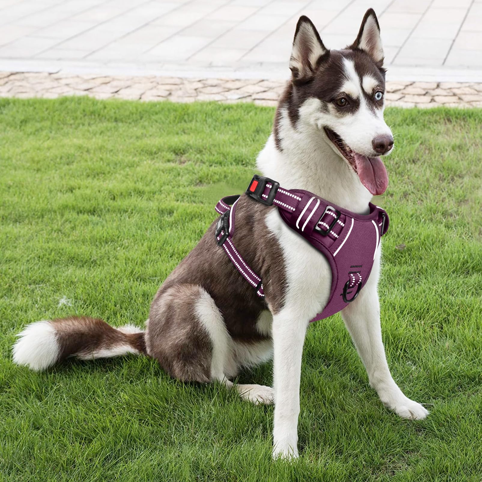 HEELE Arnés de Pecho para Perros con Cierre de trinquete con Cierre Ajustable Reflectante y Abierto en el Cuello y arnés antitracción para Perros, Cerradura Morado Adorno a Juego, L - 5