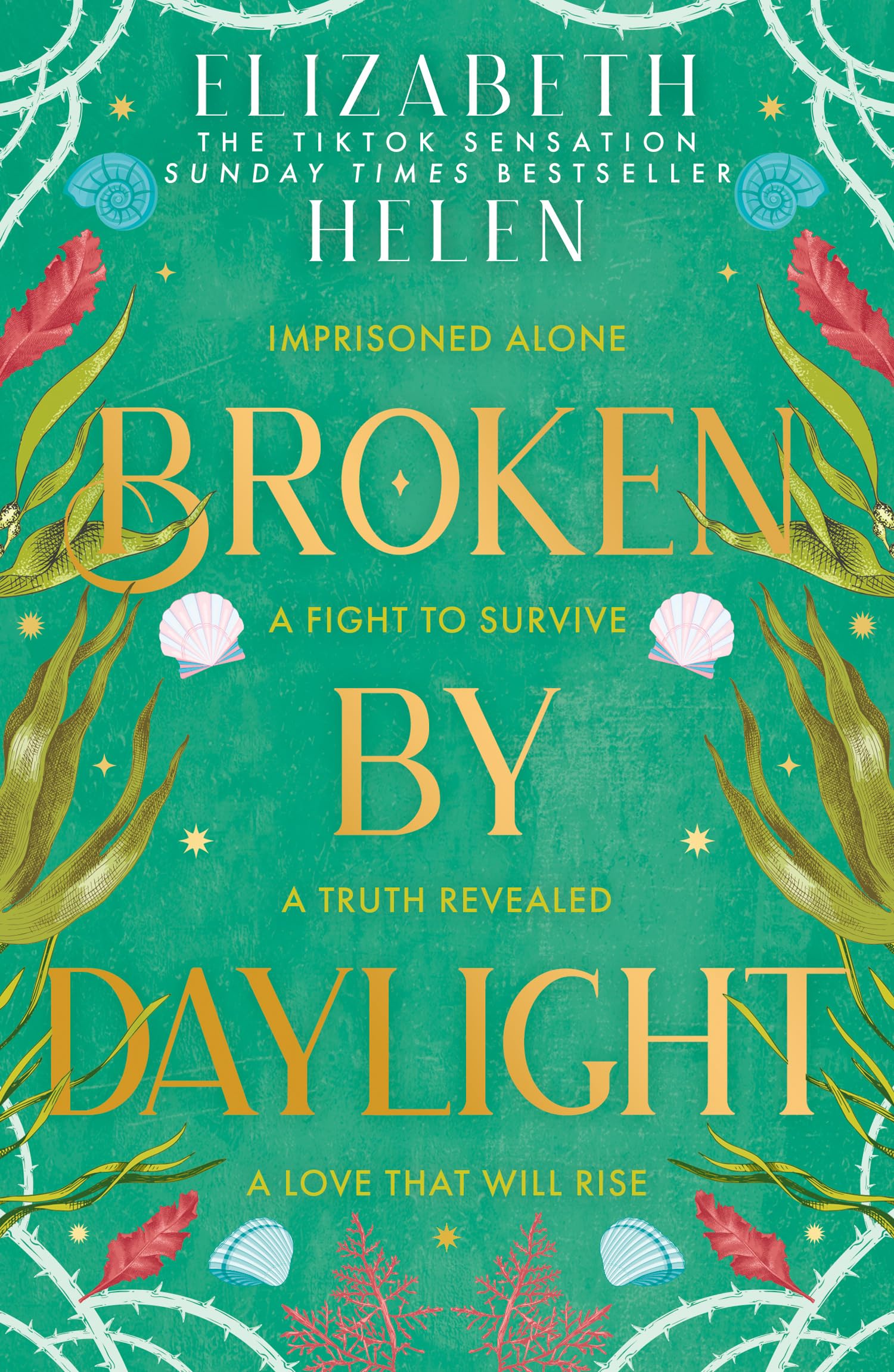 Broken by Daylight: the highly anticipated latest and fourth installment of the viral TikTok and SUNDAY TIMES bestselling romantasy series Beasts of the Briar: Book 4