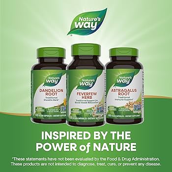 Amazon | フィーバーフュー/ナツシロギク（夏白菊