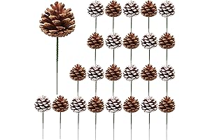 24 Pcs Christmas Tree Pine Cones White and Natural Ornaments