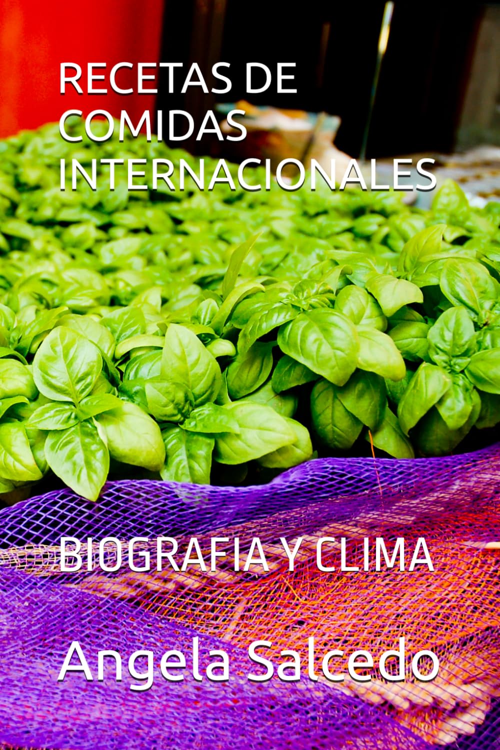 RECETAS DE COMIDAS INTERNACIONALES: BIOGRAFIA Y CLIMA