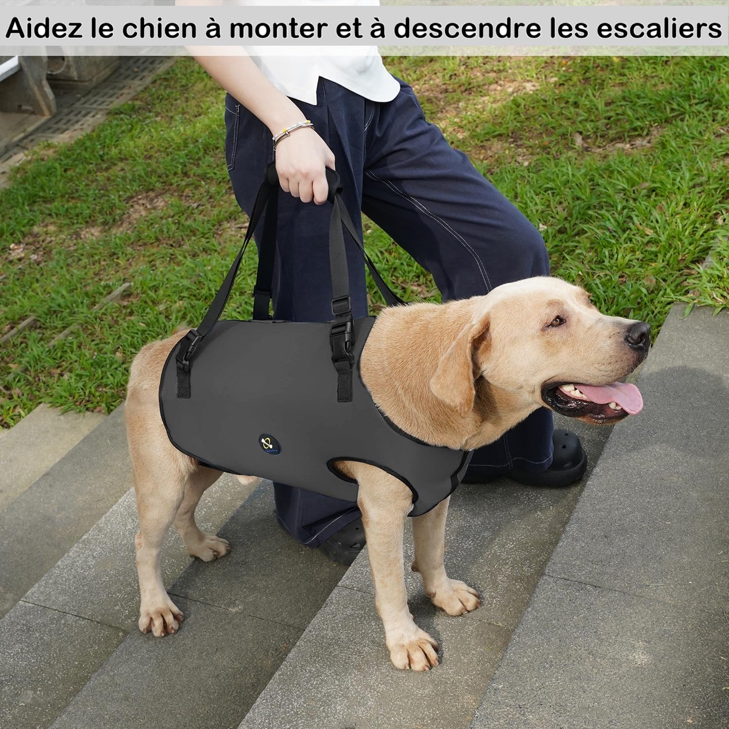 Coodeo Harnais de Levage pour Chien, Sangles Ajustables et Rembourrées, Support Respirant pour Chiens Âgés, Handicapés, Blessures Articulaires, Arthrite, Perte de Stabilité (Gris, XS)