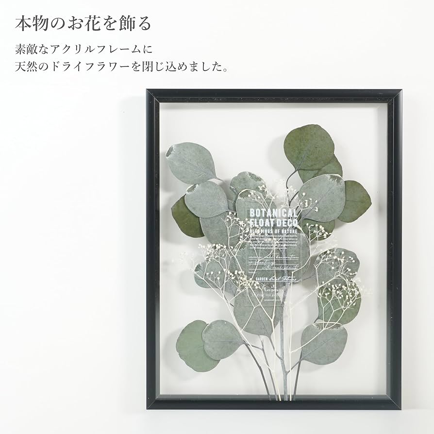 Amazon.co.jp: RingLeaf ボタニカル フロート額装 自然素材の