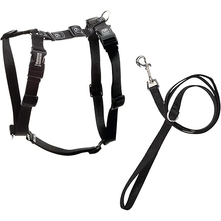 balance harness amazon