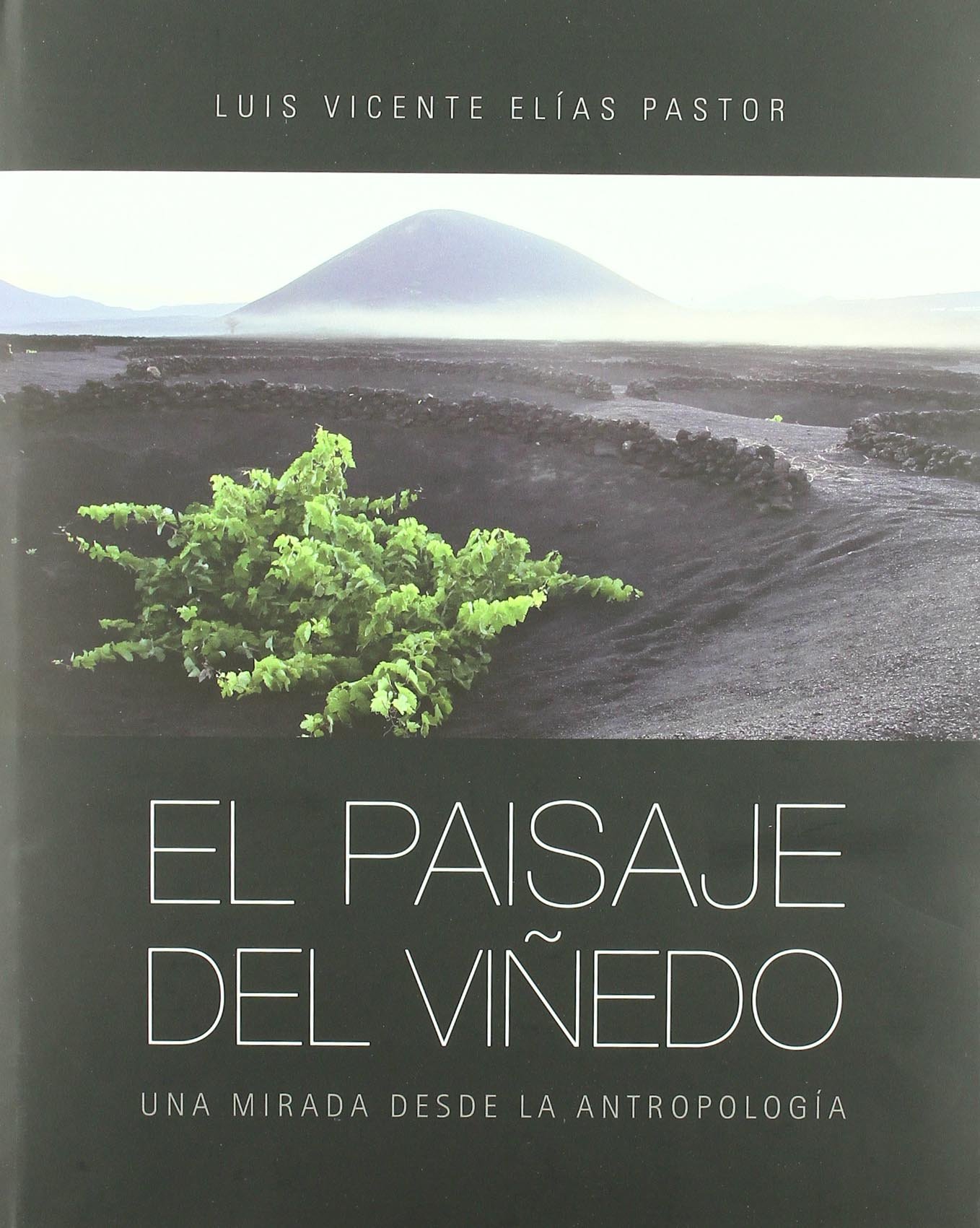 El paisaje del viñedo: una mirada desde la antropología
