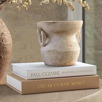 Aesthetic Decorative Books - Coffee Table Books Decor - Faux Decor Book Storage Box for Decoration - Set of 2 Linen Fake Book for Home Table Decors - Photo Storage Keepsake Box