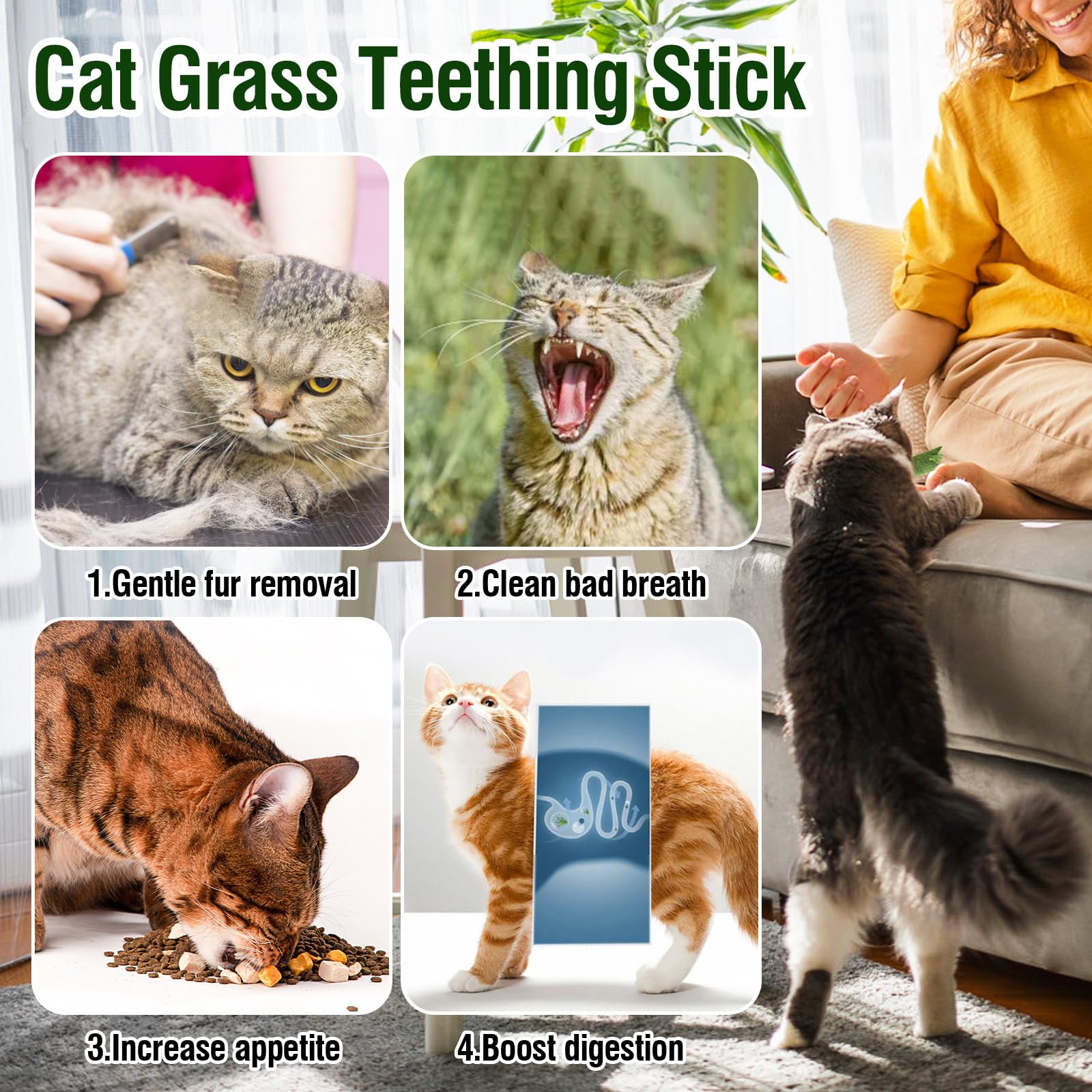 120g Herbe À Chat Bâton De Dentition Boules De Poils, Bâtons À Mâcher pour Chats, Bâtons De Jouets À L’Herbe À Chat Bâtonnets Chaton D’intérieur Bâton À Mâche (120g)