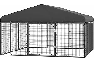 331 Large Outdoor Dog Kennel