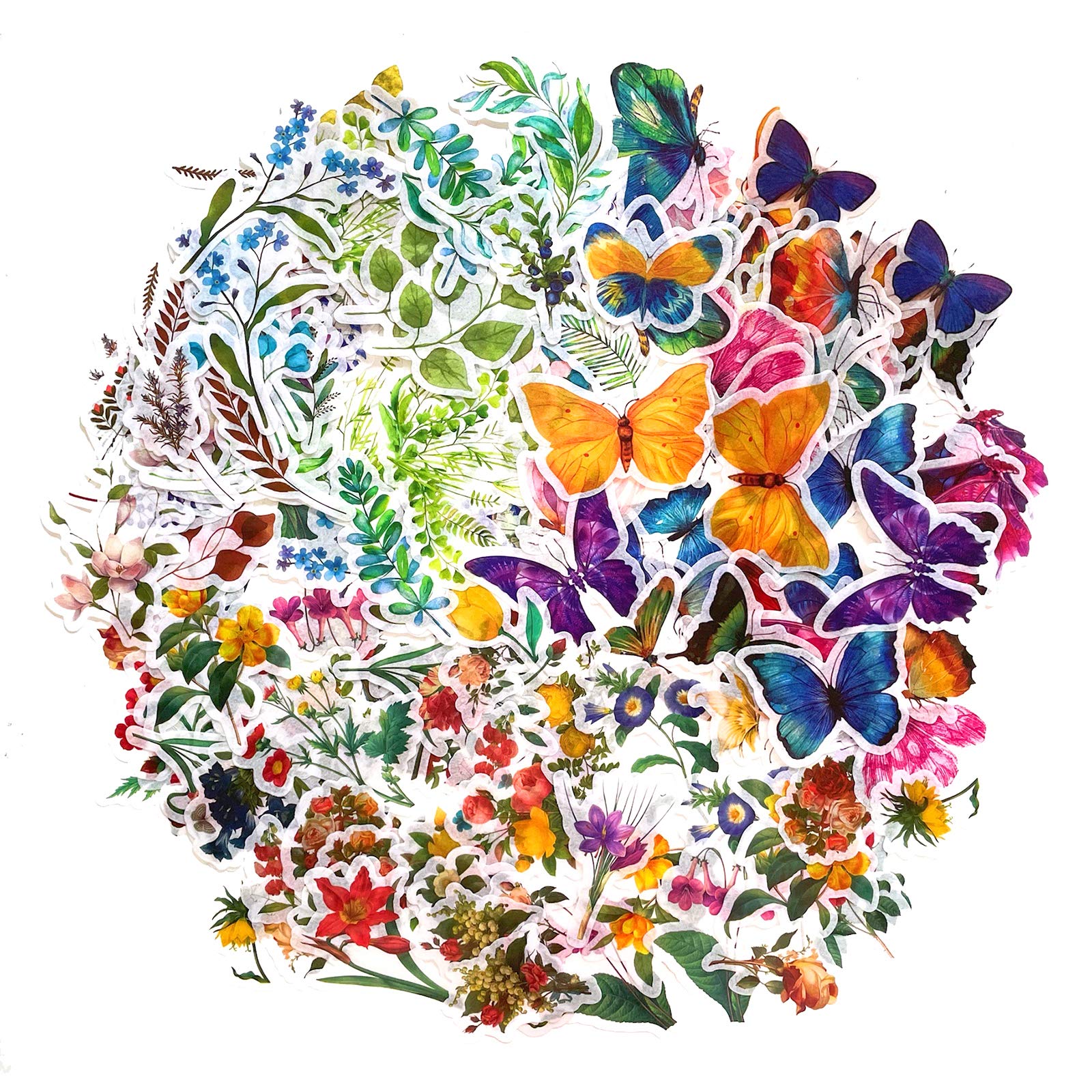 マザーリーフページ Amazon.com: MAXLEAF 180PCS Multi-Colored Vintage Plants