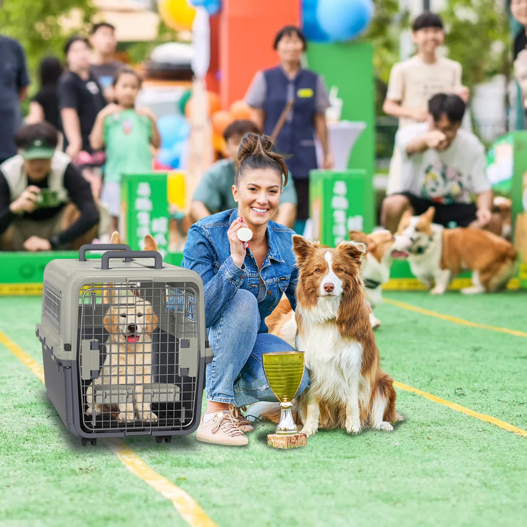 LZQ Contenitore per il trasporto di gatti, cani e animali, in plastica, per il trasporto di piccoli animali, coniglio (lunghezza 67 x larghezza 51 x