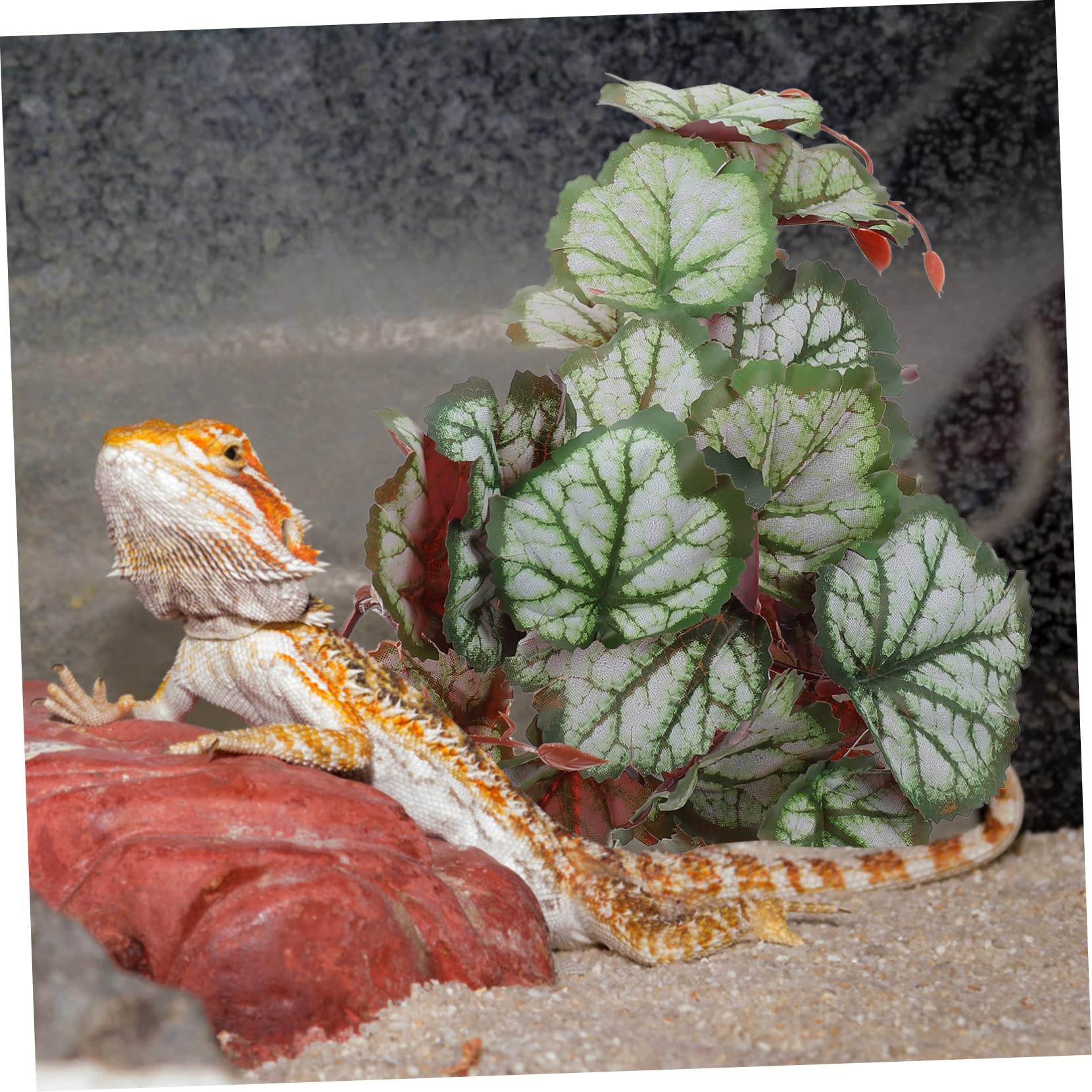 POPETPOP 5piezas Planta Artificial De Terrario para Reptiles y Acuarios Decoración De Acuario De Plástico Planta De Simulación para Peceras y Tanques De Reptiles Adorno Lifelike para