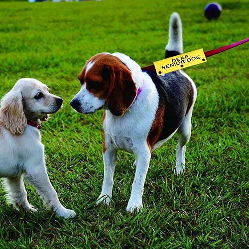 Miniatura 4 de Correa para perro con discapacidad auditiva para perros sordos mayores para perros con necesidades especiales (funda YE para perro sordo mayor)