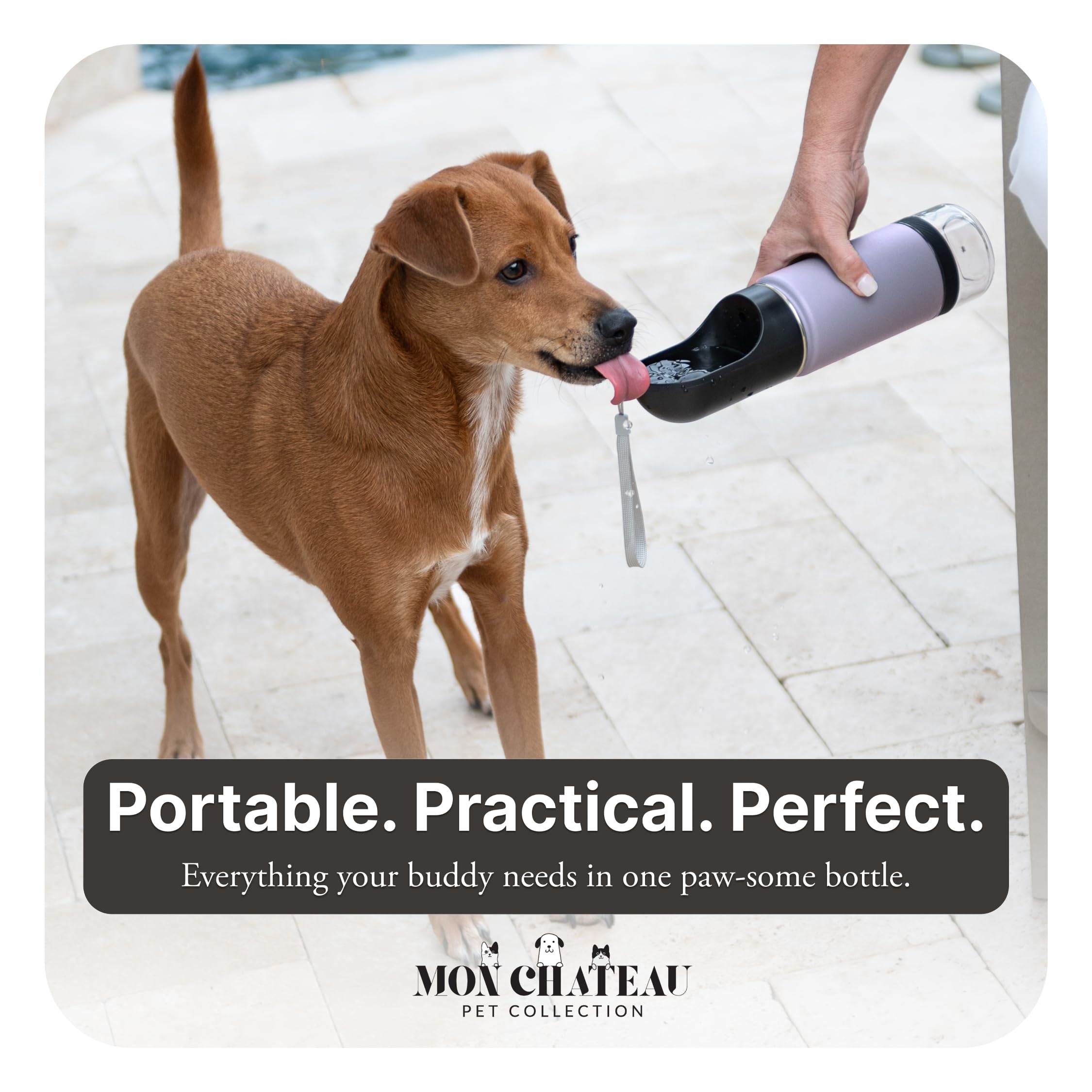 Mon Chateau Borraccia portatile per cani da 400 ml, con contenitore per snack da 113,4 g, corpo in acciaio inox a doppia parete, a prova di perdite, lavabile in lavastoviglie, bottiglia da viaggio per