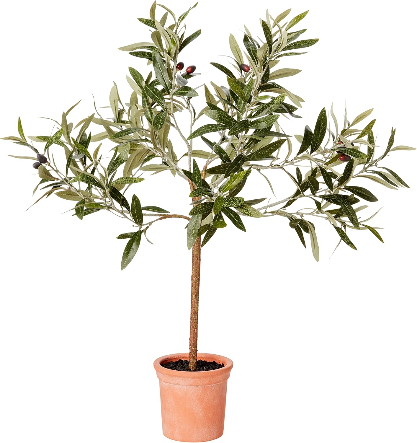 Amazon Brand Stone & Beam Artificial Olive Tree Topiary
