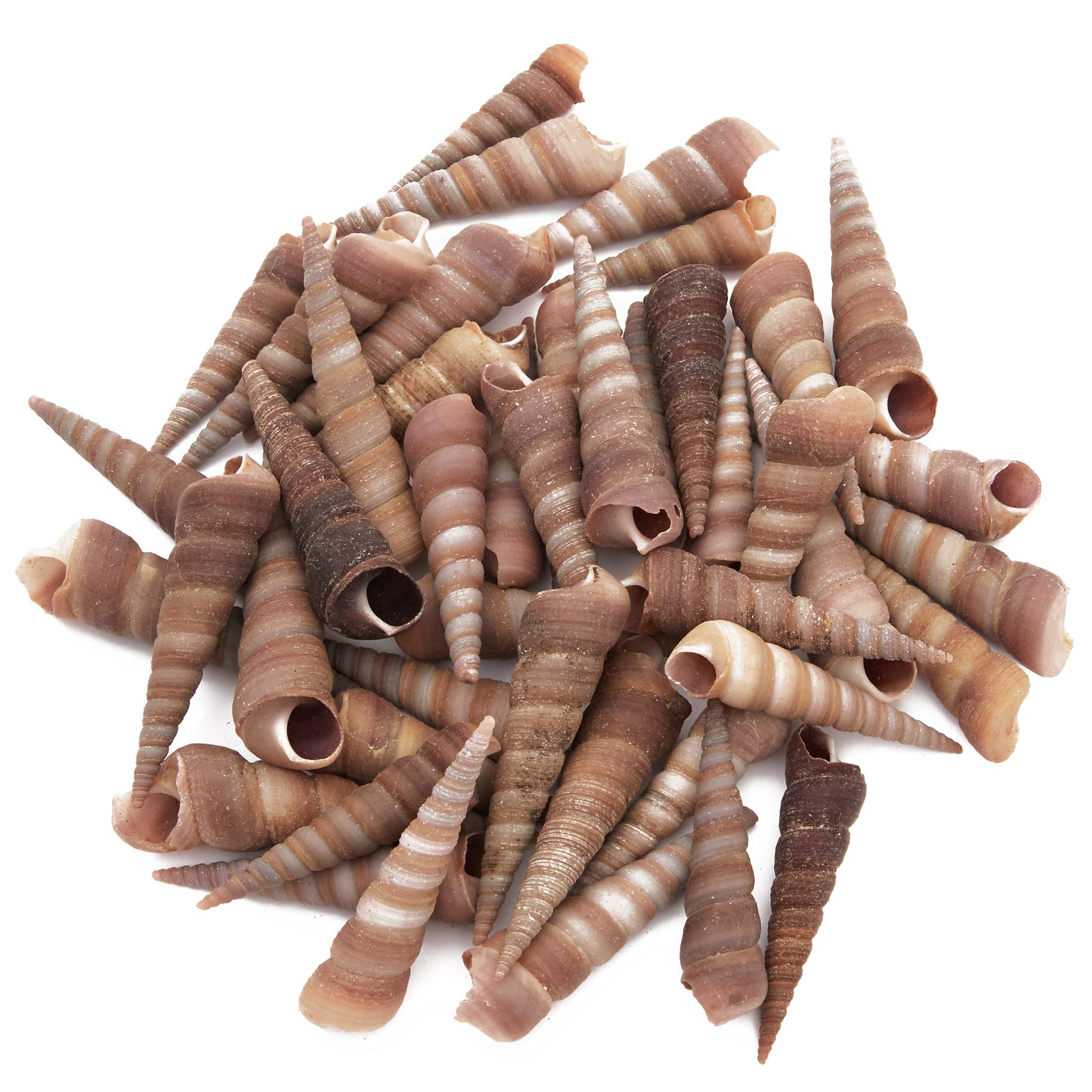 Hobby Lobby Beach Decor Decor For You