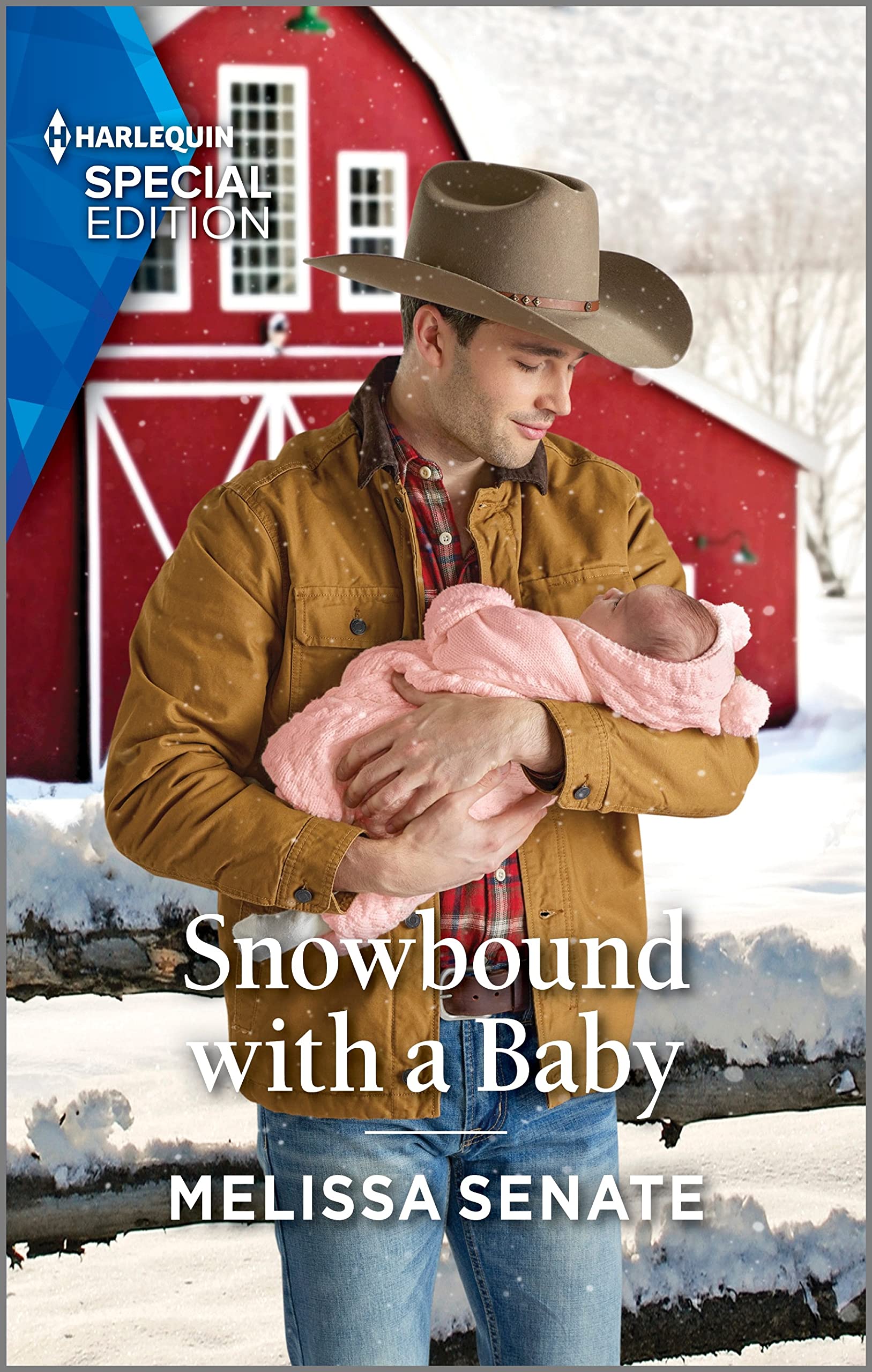 Snowbound with a Baby (Dawson Family Ranch Book 12)