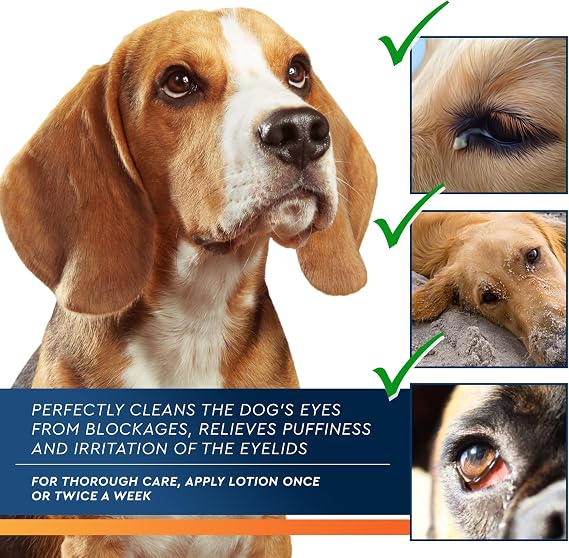 All Pets Eye Wash Drops for Relieve Pink Eye, Allergies Symptoms, Infections & Runny, Dry Eyes - Pain-Free Treatment Helps Prevent Abrasions, Irritations & Conjunctivitis